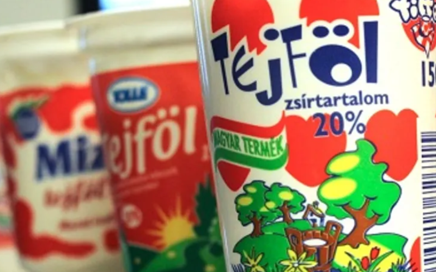 Sokan nem tudják: Ez a különbség a Tejföl és Frissföl között