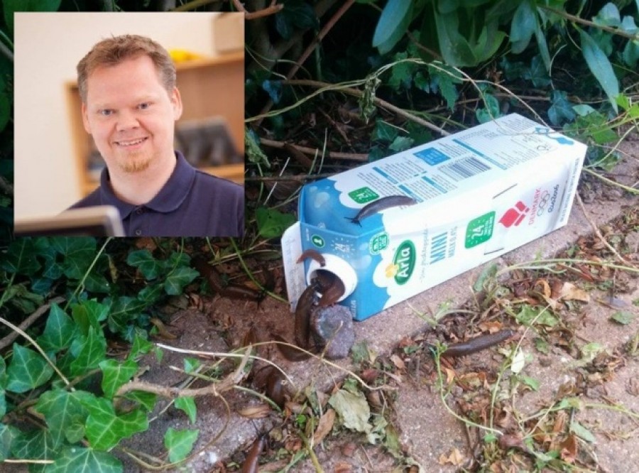 Így szabadulhatsz meg legegyszerűbben a pucércsigáktól