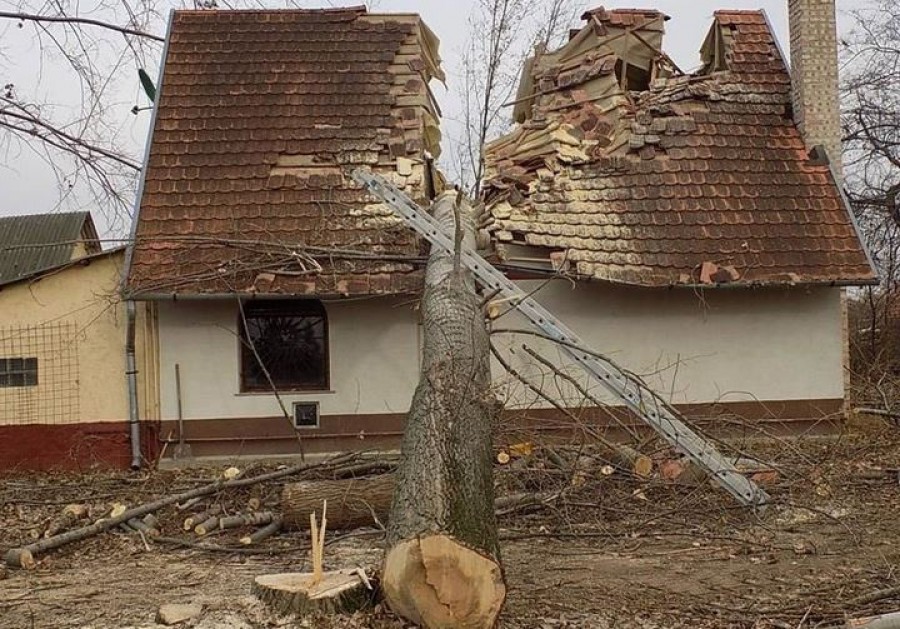 Kettévágott egy kidőlt fa egy családi házat Üllőn