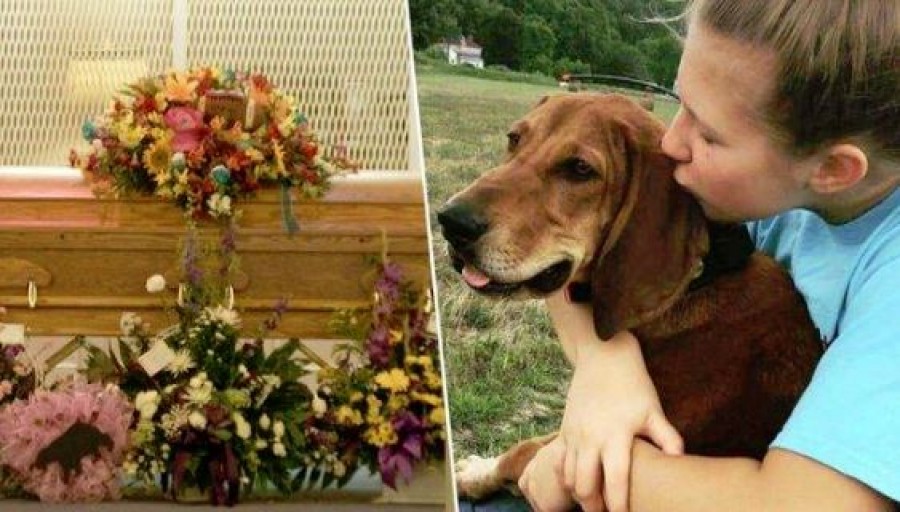 Ennyibe kerül egy kutya hivatalos eltemetése
