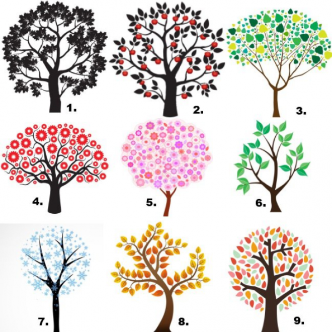 Válassz egy neked tetsző fát, és tudd meg a jelentését! 