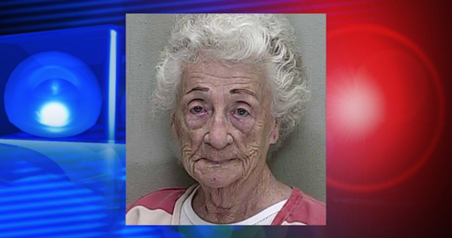Letartóztattak egy 83 éves hölgyet, aki a macskáit lopásra tanította be