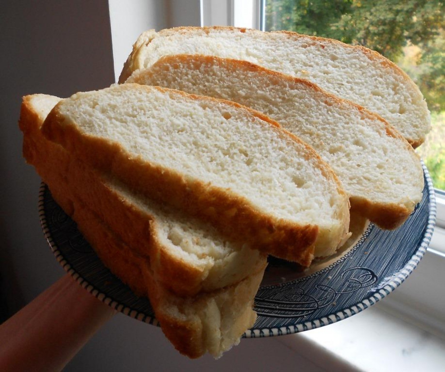 Ezért érdemes ecetbe áztatott kenyeret tenni a kukába