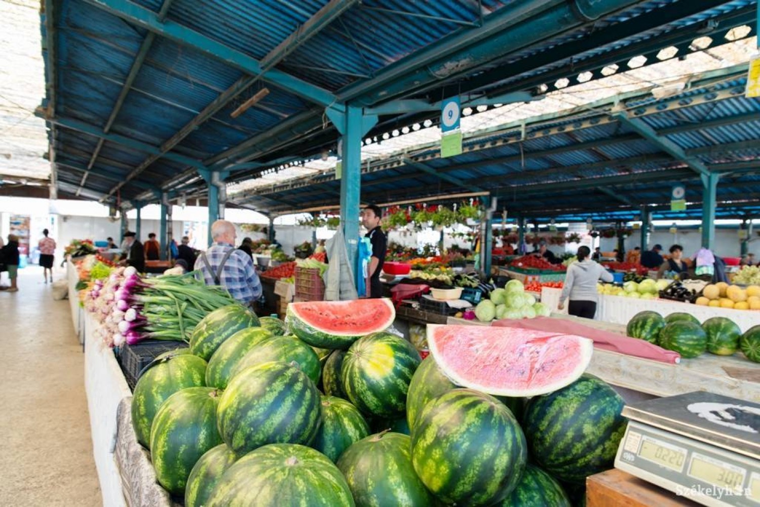 Ennyi lesz idén a görögdinnye kilós ára