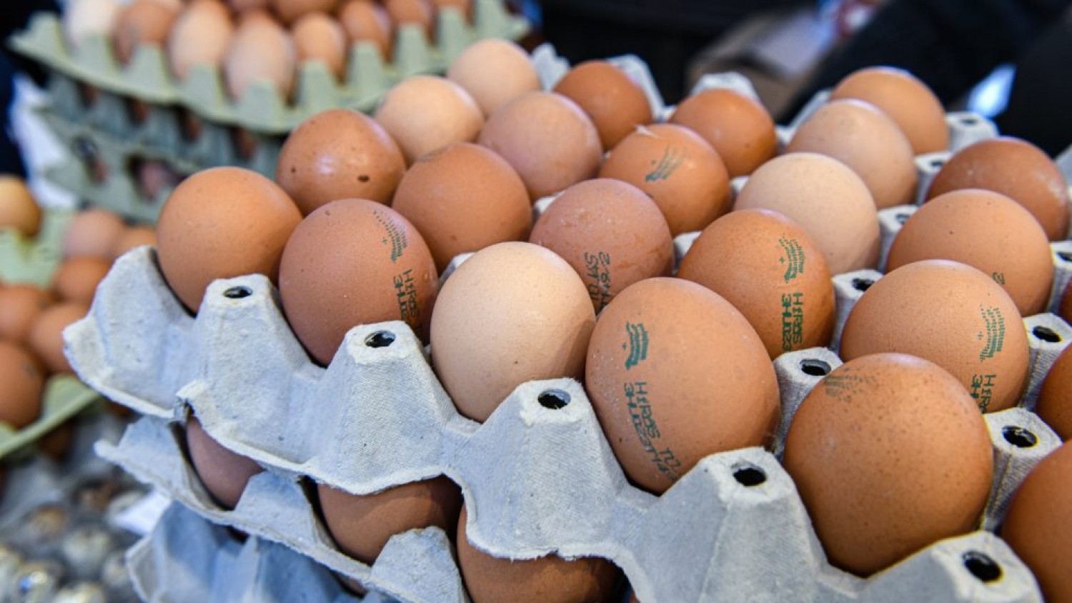 Özönlik az import tojás az EU-ba