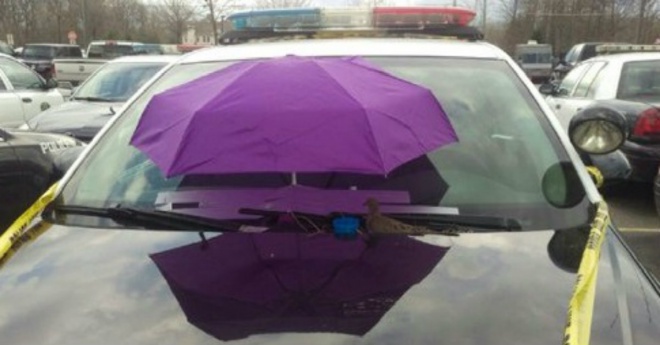 A rendőrautó szélvédője elé egy ernyőt tettek.