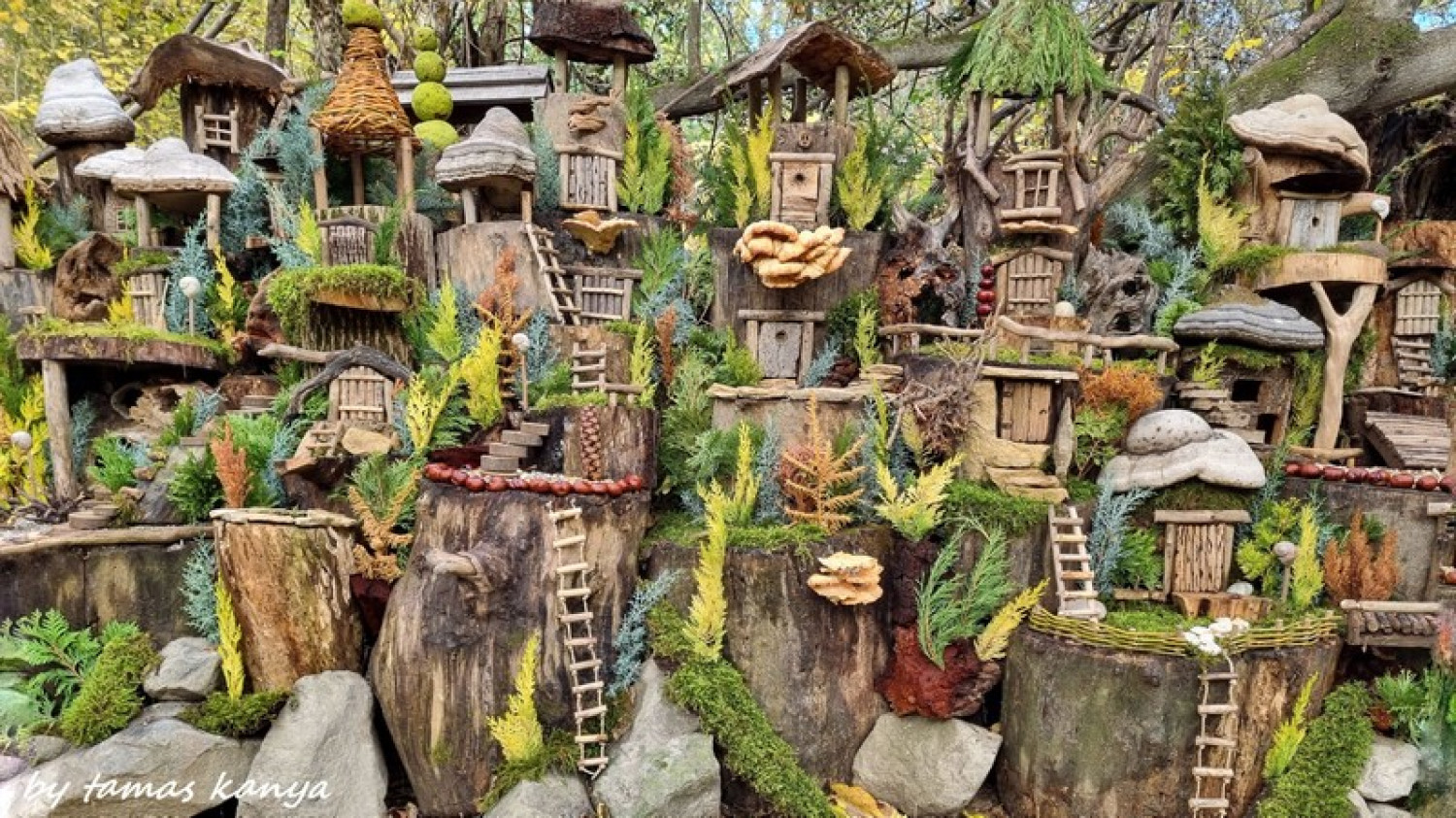 Egy példátlan rombolás margójára: Manófalva - élt 1 hetet  