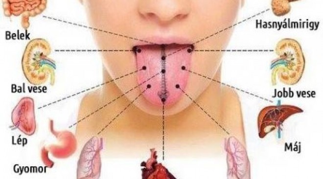 A nyelved, olyan, mintha a tested térképe lenne!