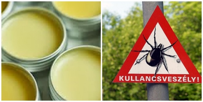 Ha a szabadba mégy ezzel kend magad! Filléres de megbízható szer a kullancsok és szúnyogok ellen! 