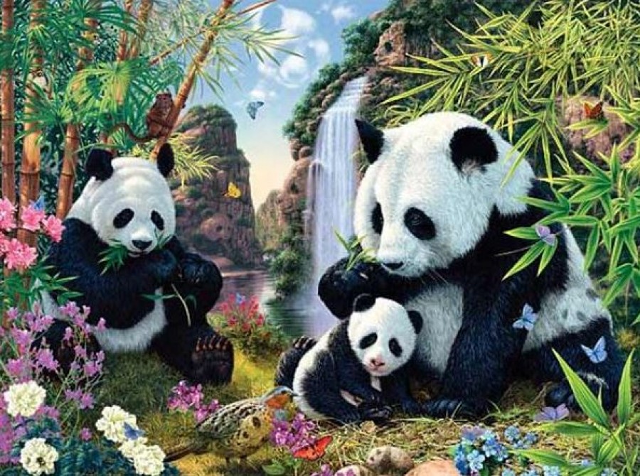 Első ránézésre 3 panda tűnik fel a képen, pedig 12 van!