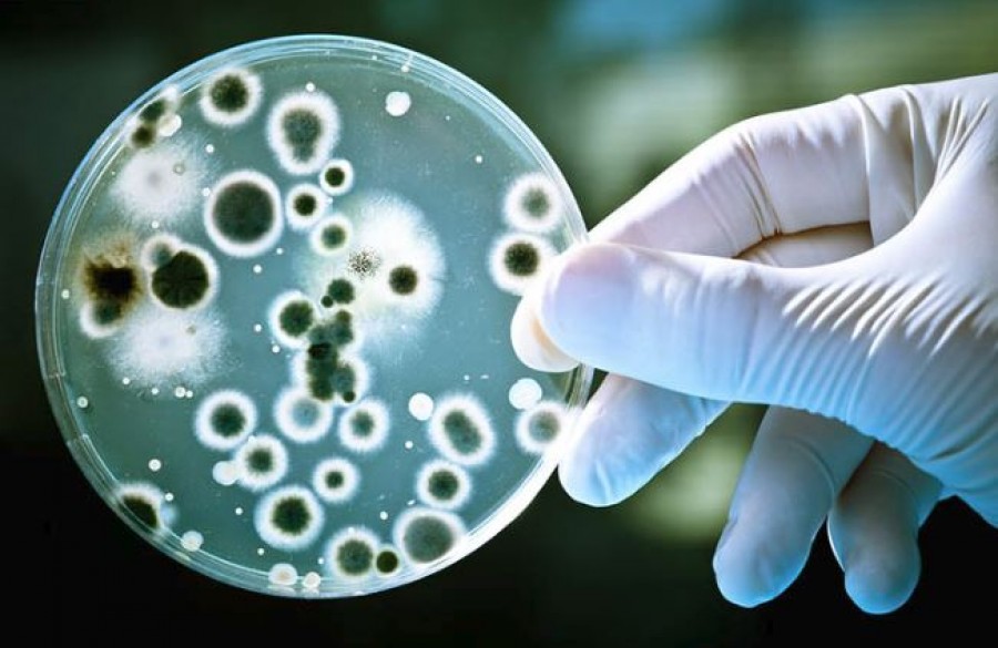 Vészharangot kongatnak a szakemberek: a mostani antibiotikumok zöme pár éven belül teljesen hatástalan lesz 