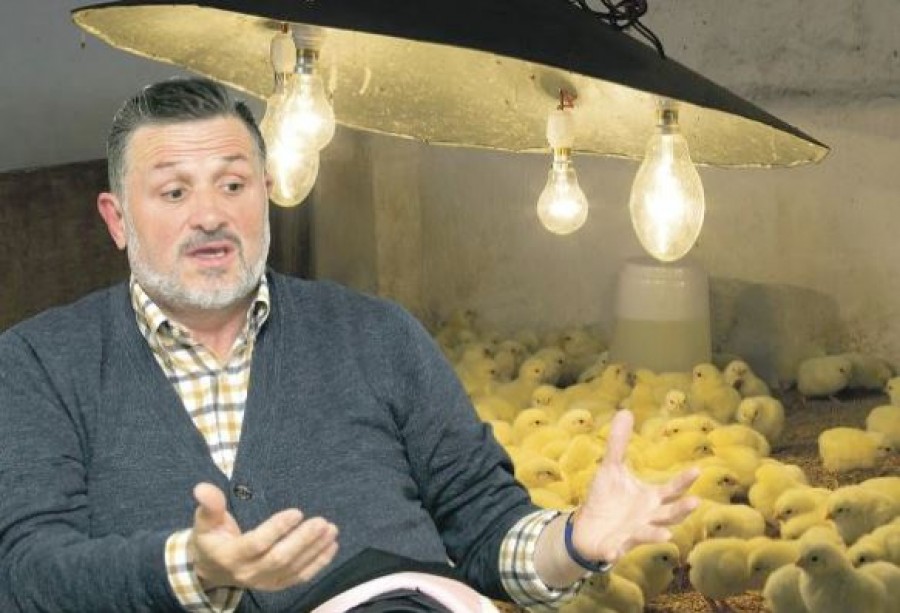 Lagzi Lajcsi megmagyarázta mire kellett a lopott áram: csirkéket keltettek